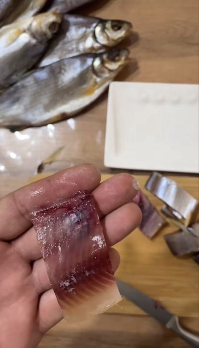 Сущенные рыбец, Кепкен балық Рыбец. Штугы 1500