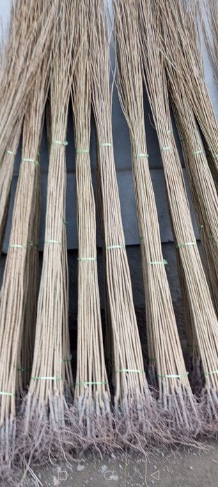 Мевали кучатлар бор