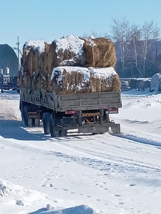 Продам  сено. село Становое