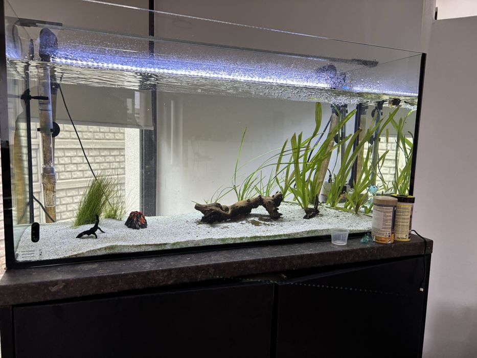 Doua acvarii 250l si respectiv 300l complet echipate