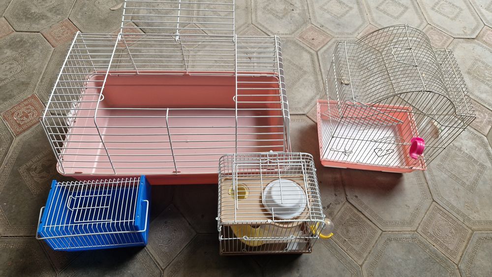 Клетки для грызунов и птиц