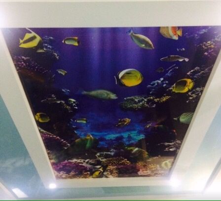 Натяжные потолки  от 1200