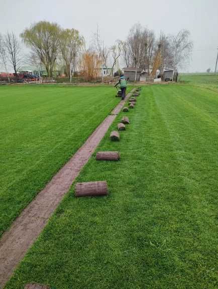Gazon Verde Premium pentru Curți și Terase