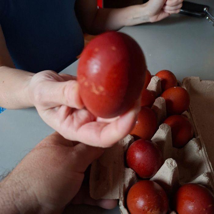 Gaini Marans negru și negru aramiu