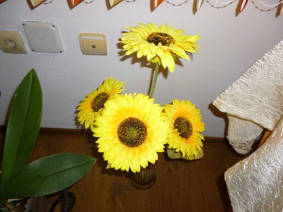 Panasonic Lumix DMC-FS18  16 MPx