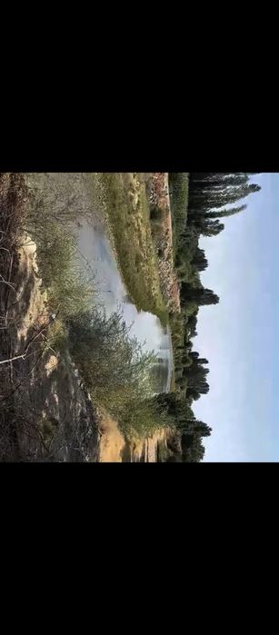 Йер үй Уртачирчик туман аранчи МФИ