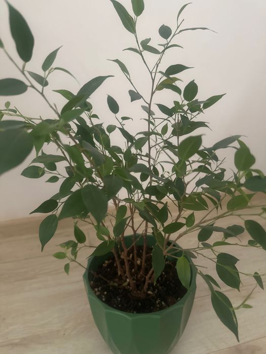 Срочно, все за 20 тыс. тенге