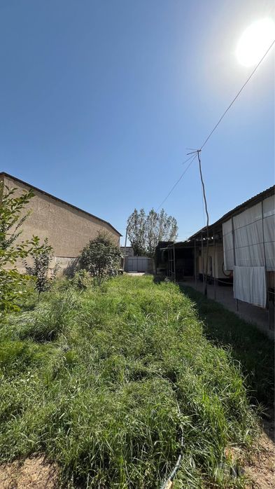 Zangi ota yerhovli sotiladi