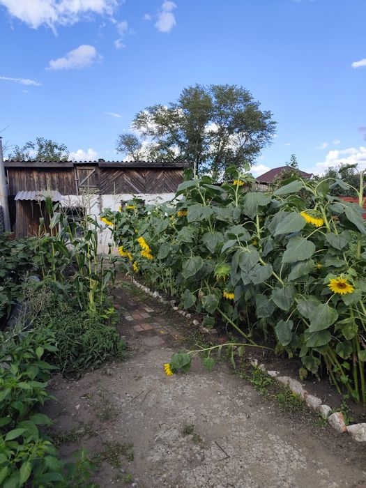 Продам в частном секторе дом