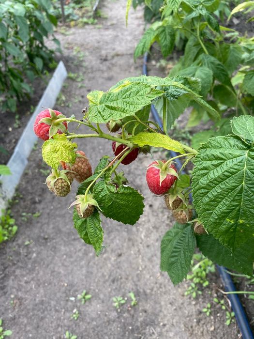 Продается отличная дача