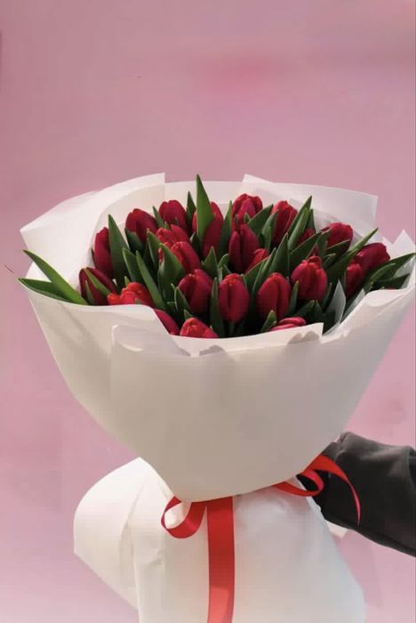 Тюльпаны, 25 шт.