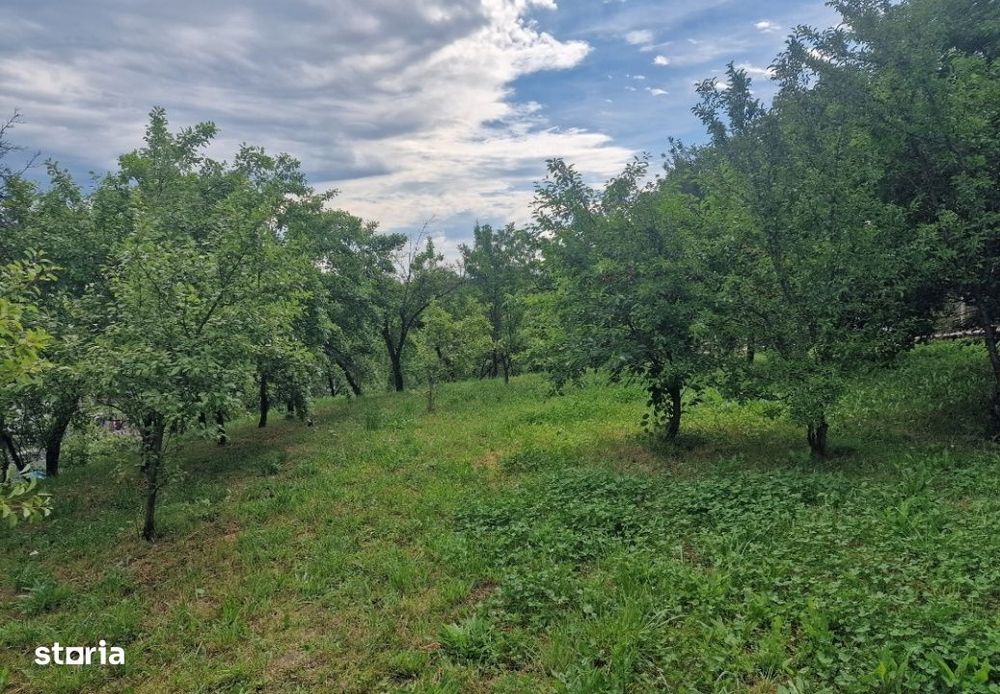 Teren intravilan 1400mp-Albota!