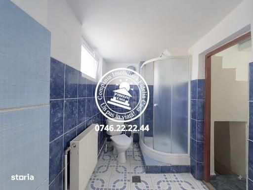 Vila  de vanzare  Valea Lupului,-Popas Pacurari