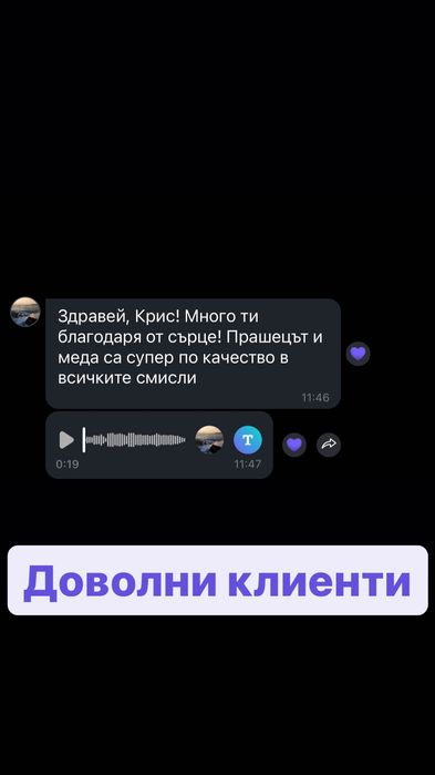 Горски Пчелен Прашец от резерват с. Сребърна