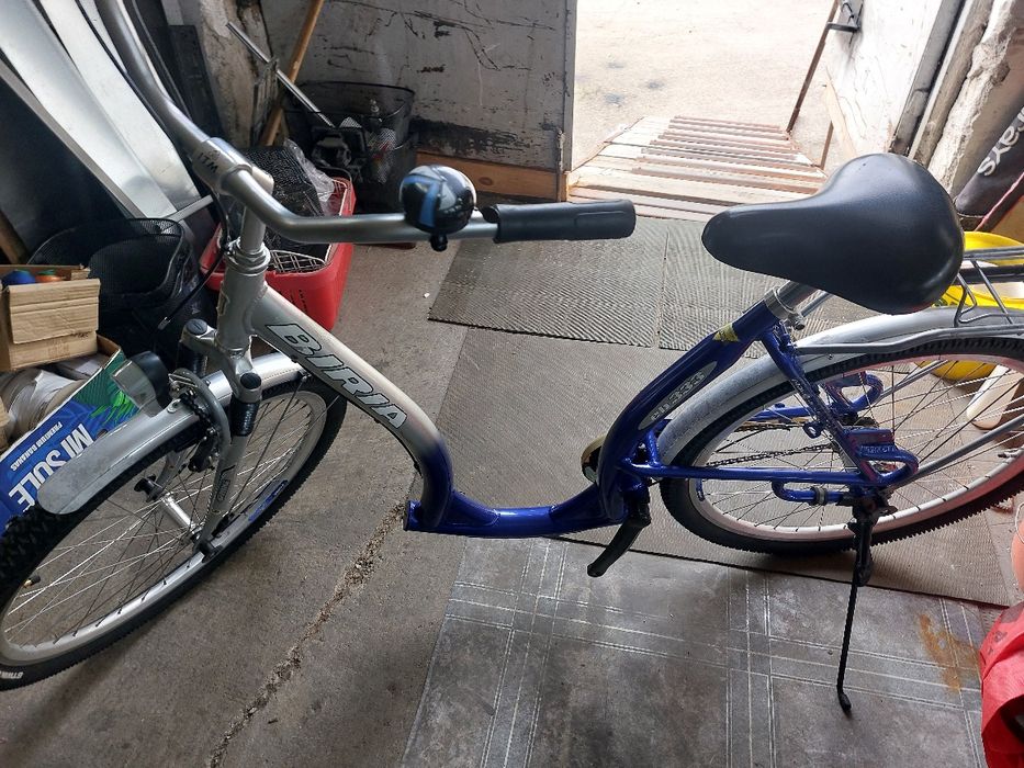 Biciclete de dama și bărbați