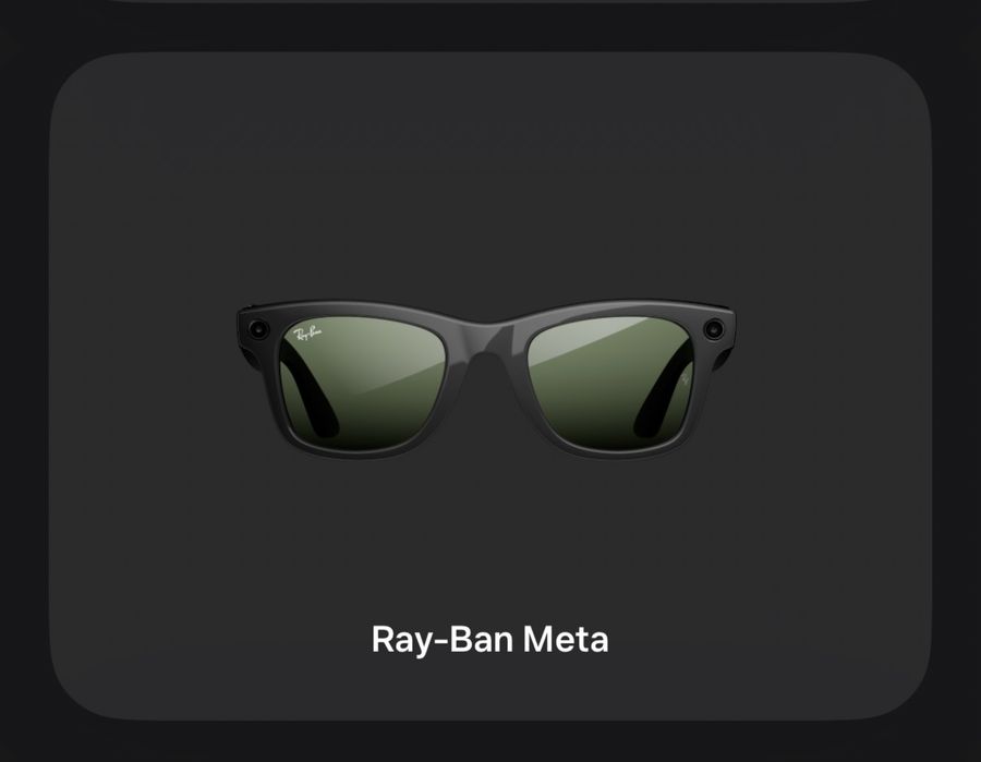 Очки Ray-Ban Meta Skyler