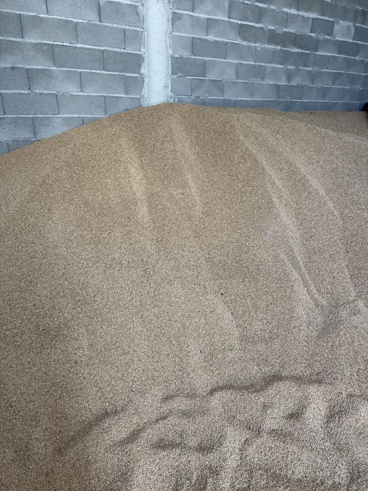 Vând triticale  grau ovaz porumb