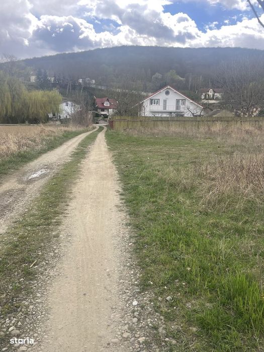 Teren intravilan 700 mp,Aleea Coloneilor,toate utilitatile