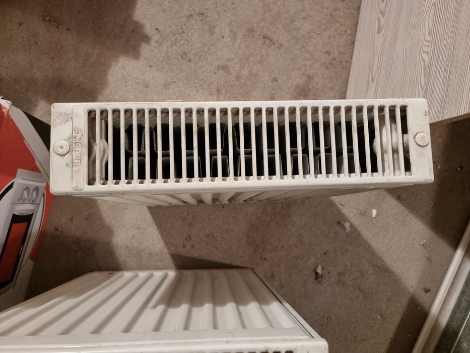 Радиаторы Buderus 2 штуки.