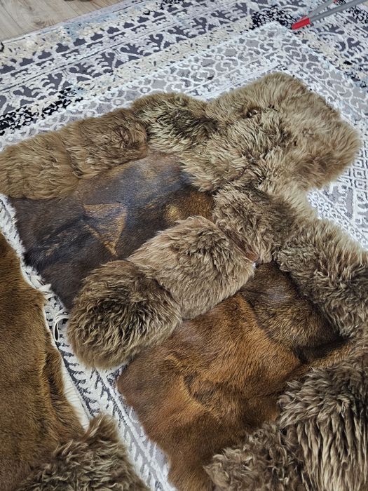 Чехды зимние дорогие