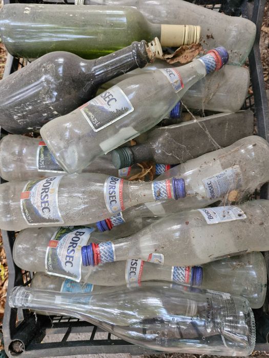 Sticle 2 litri si 750 ml