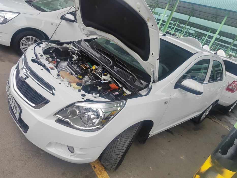 Cobalt ltz 2023 kraska toza