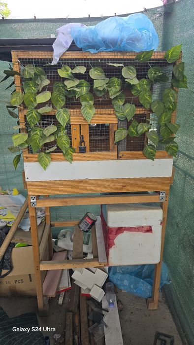 Qafas sotiladi kotta karella toti kanarekala uchun