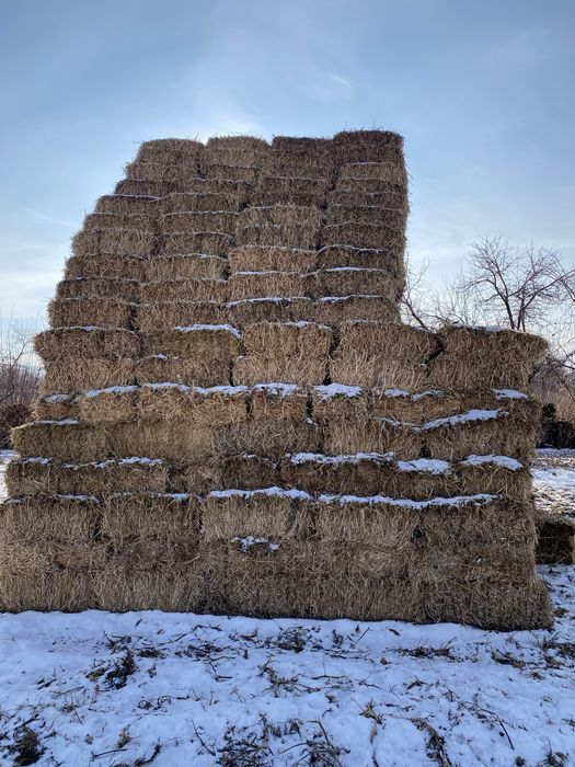 Продам сено, соевая салома