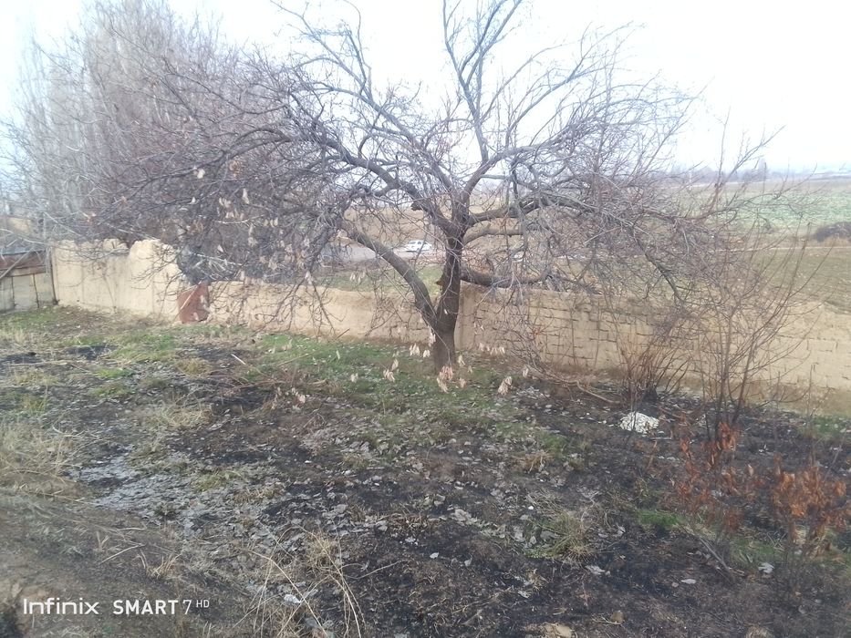 Дала ховли 6сотих курук ер