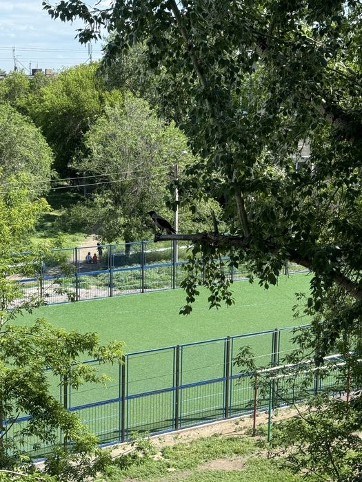 Квартира 1 комнатная