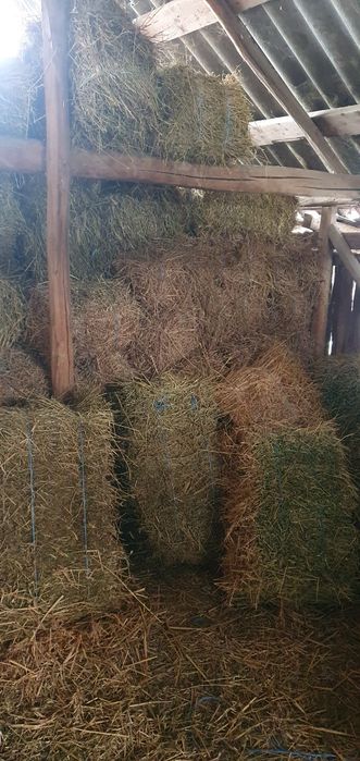 Vand baloti de lucerna