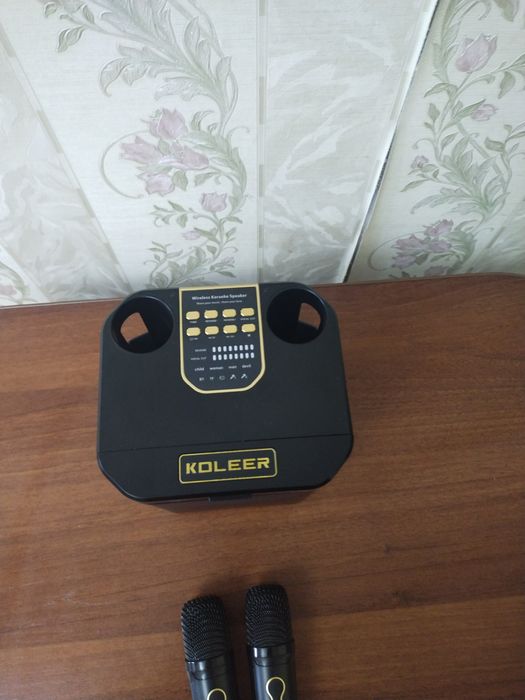 Продам караоке с двумя микрафонами