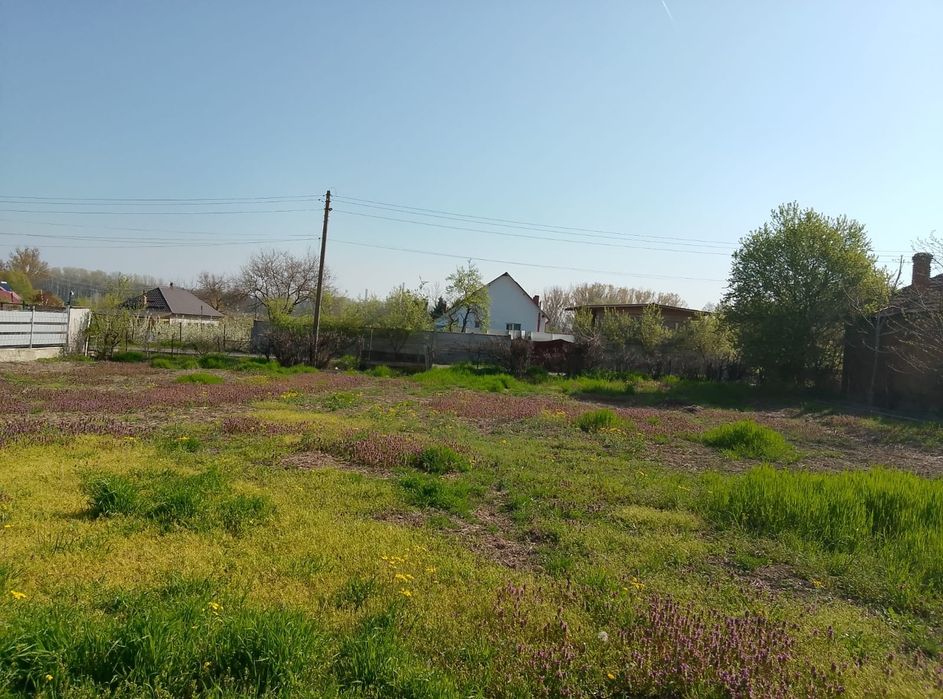 Vând teren intravilan sat Obedin comuna Breasta  zero șapte șapte unu patru patru unu opt cinci șase