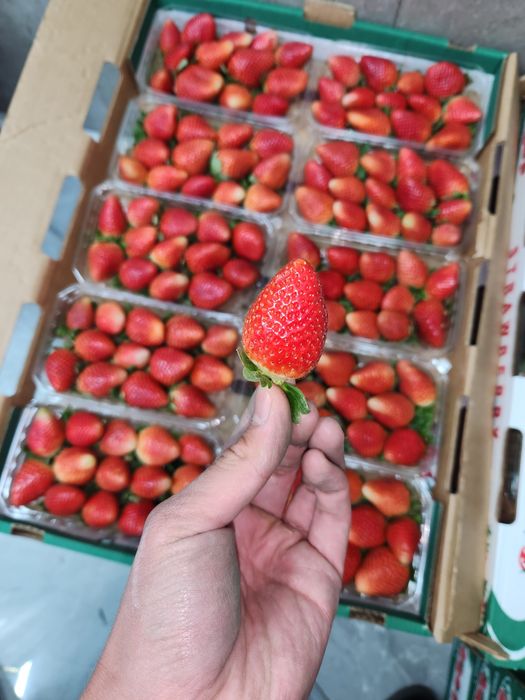 Египетская клубника