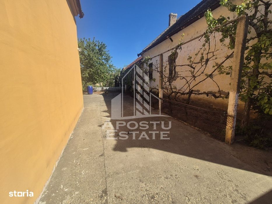 Proprietate Premium Teremia Mare - Apostu Estate