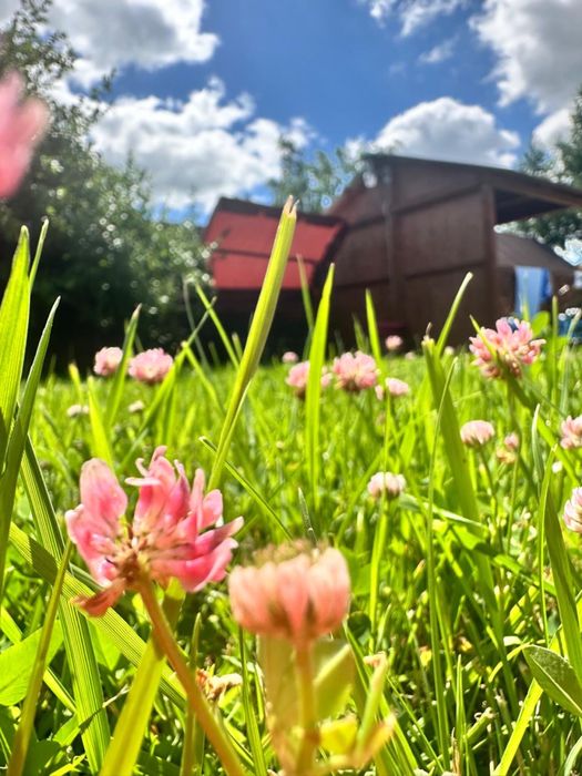 Срочно дача район ст гудок, вишенка