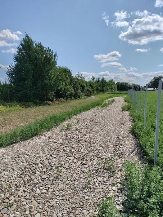 Teren Ghighiu intravilan