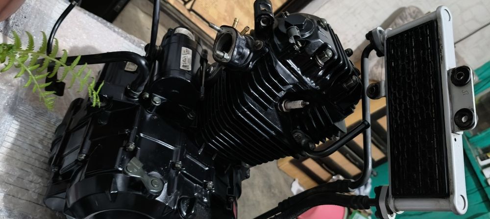 Двигатель Минск скремблер 250