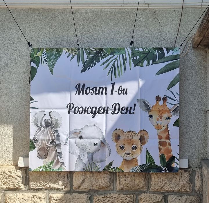 Фон/платно/декорация/винил за първи рожден ден Сафари