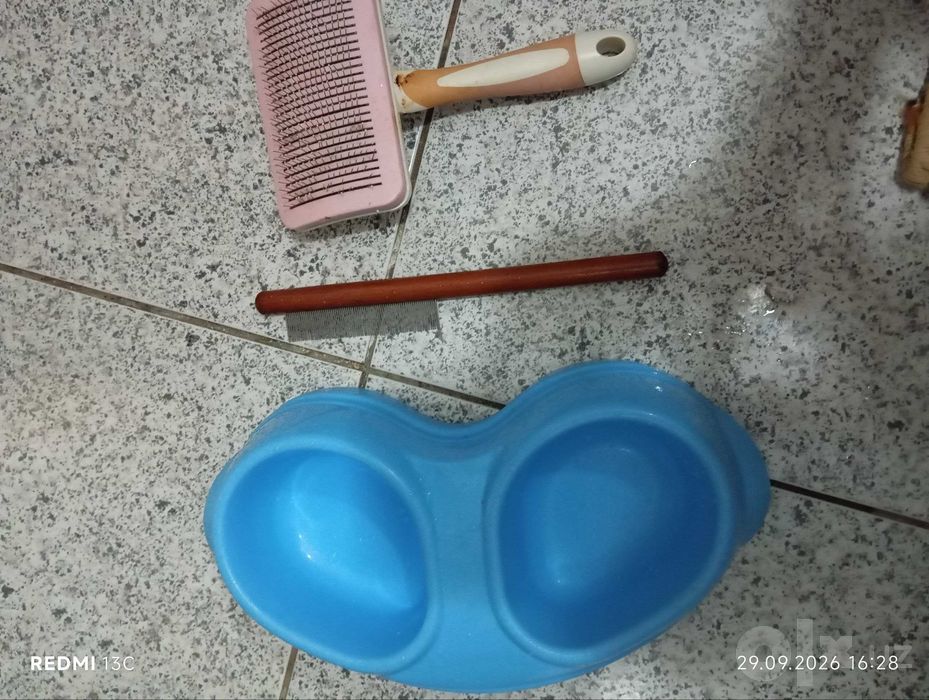 Клетка, лоток для котят