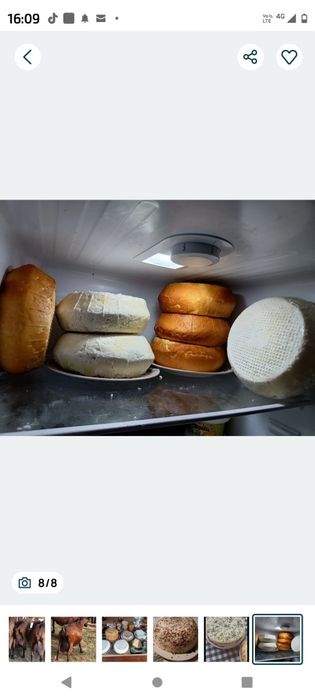 Lapte și brânză de capra