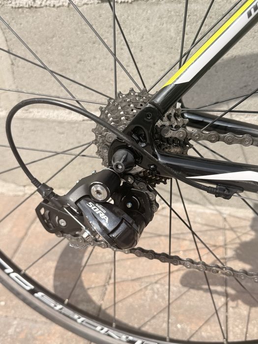 Bicicleta(cursiera)carbon Moser!