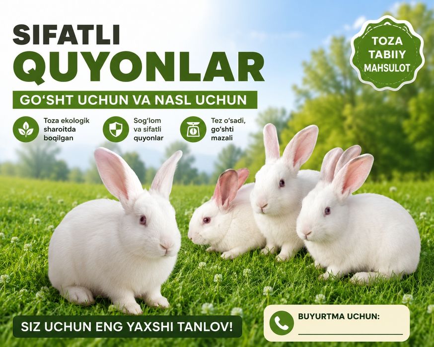 Quyon bolachalari