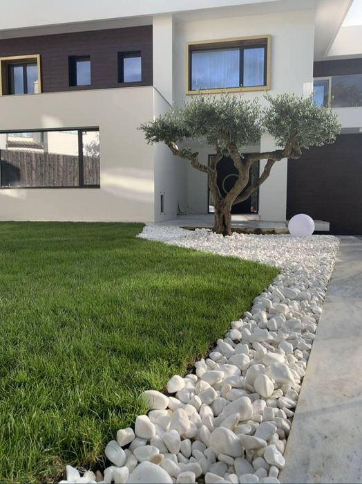 Gazon rulou Însămânțare Pregătirea terenului