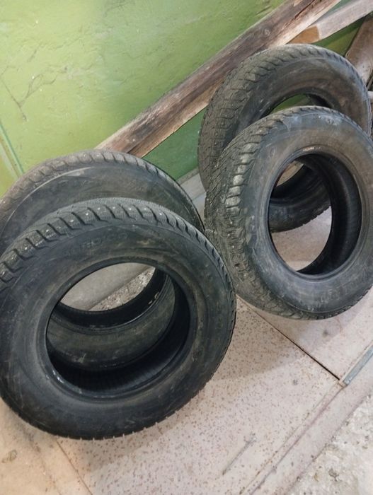 Продам шины зимние шипованные