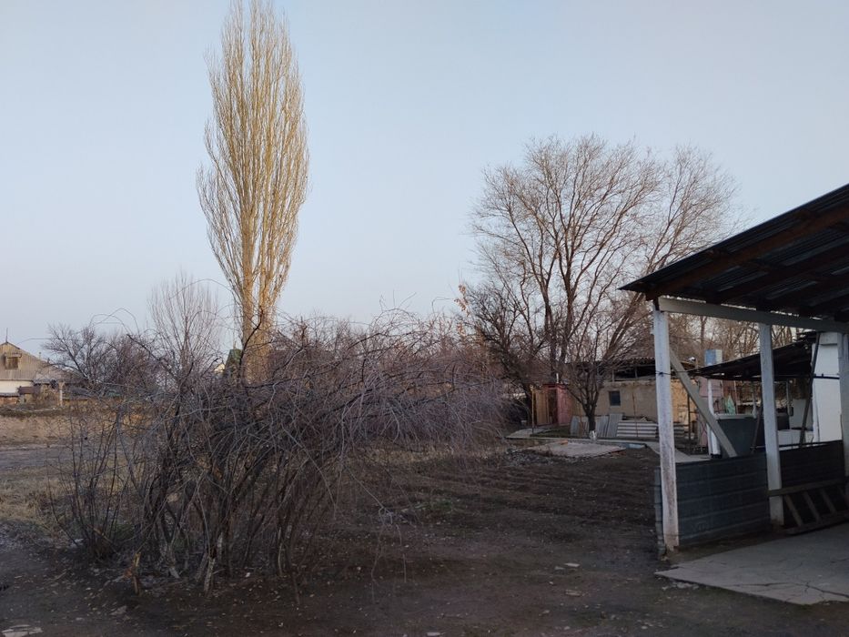 Продаю дом с готовым условием