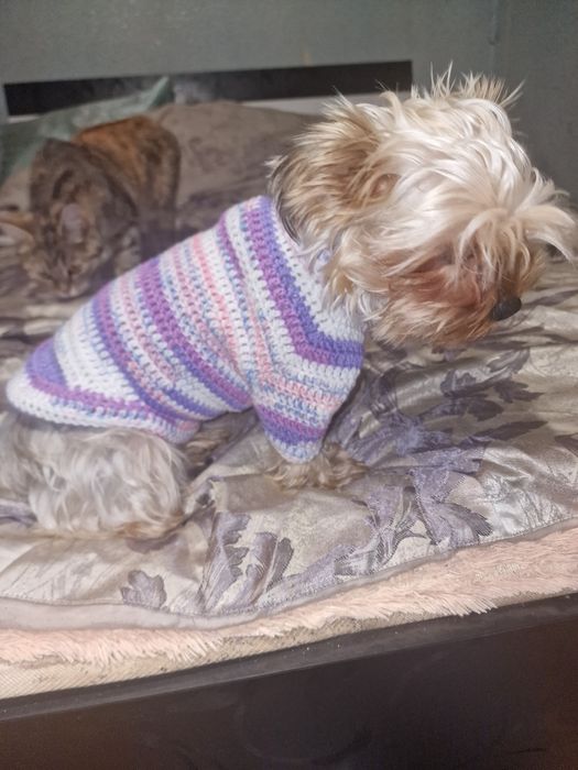 Свитерки для собак своими руками