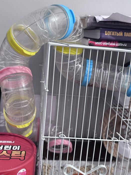 Продам хомяка с клеткой большой