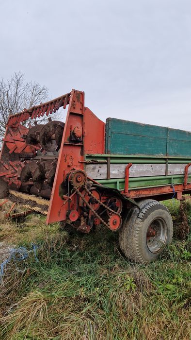 Mig împrăștiat gunoi