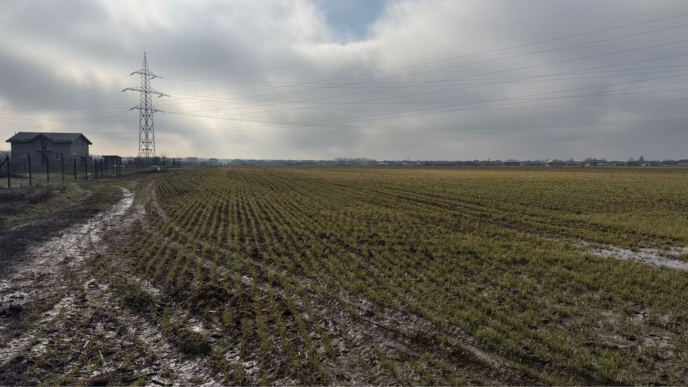 Teren Balotesti zona vile langa Edenland Park spitalul SRI